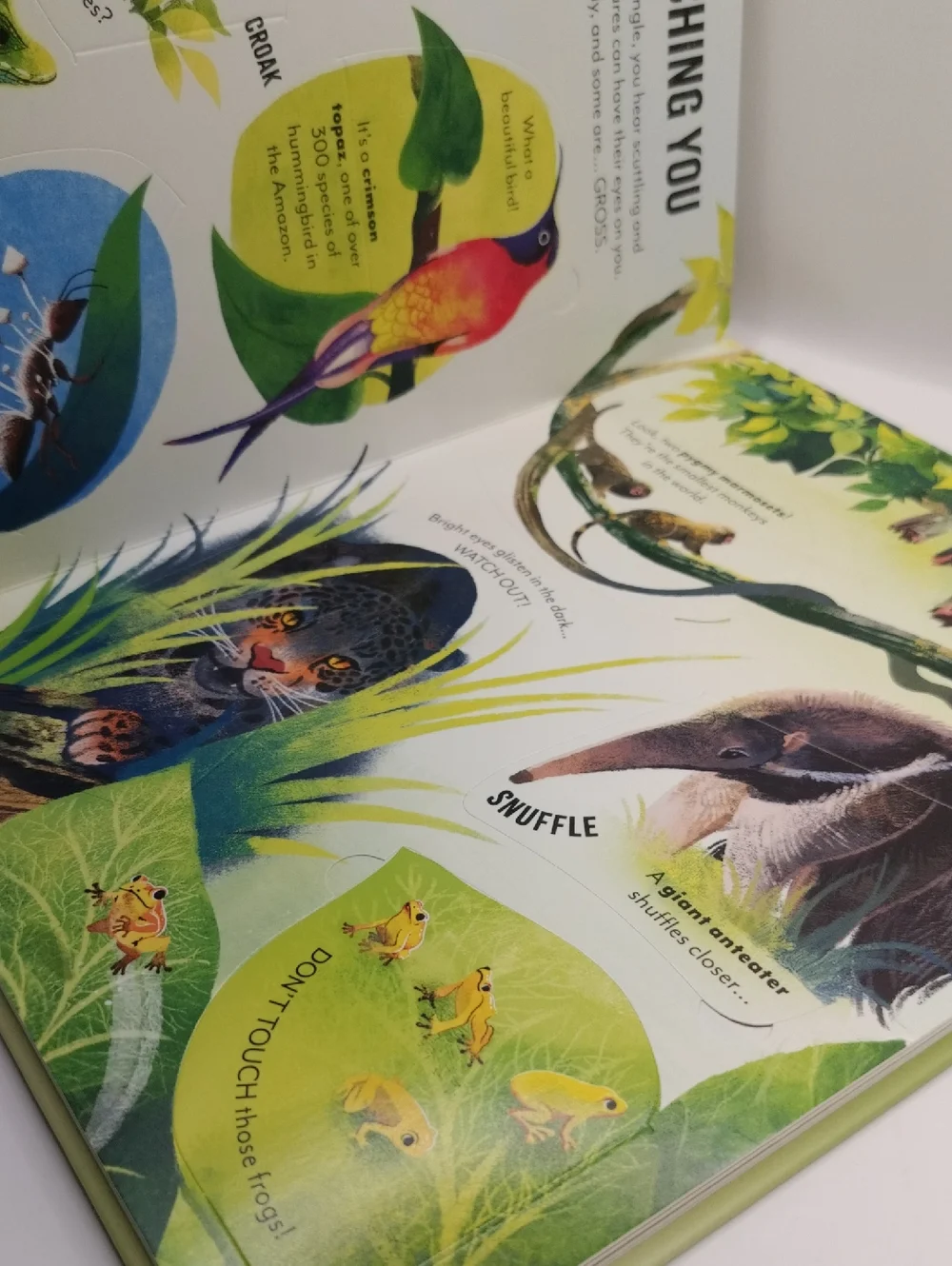 usborne extreme planet